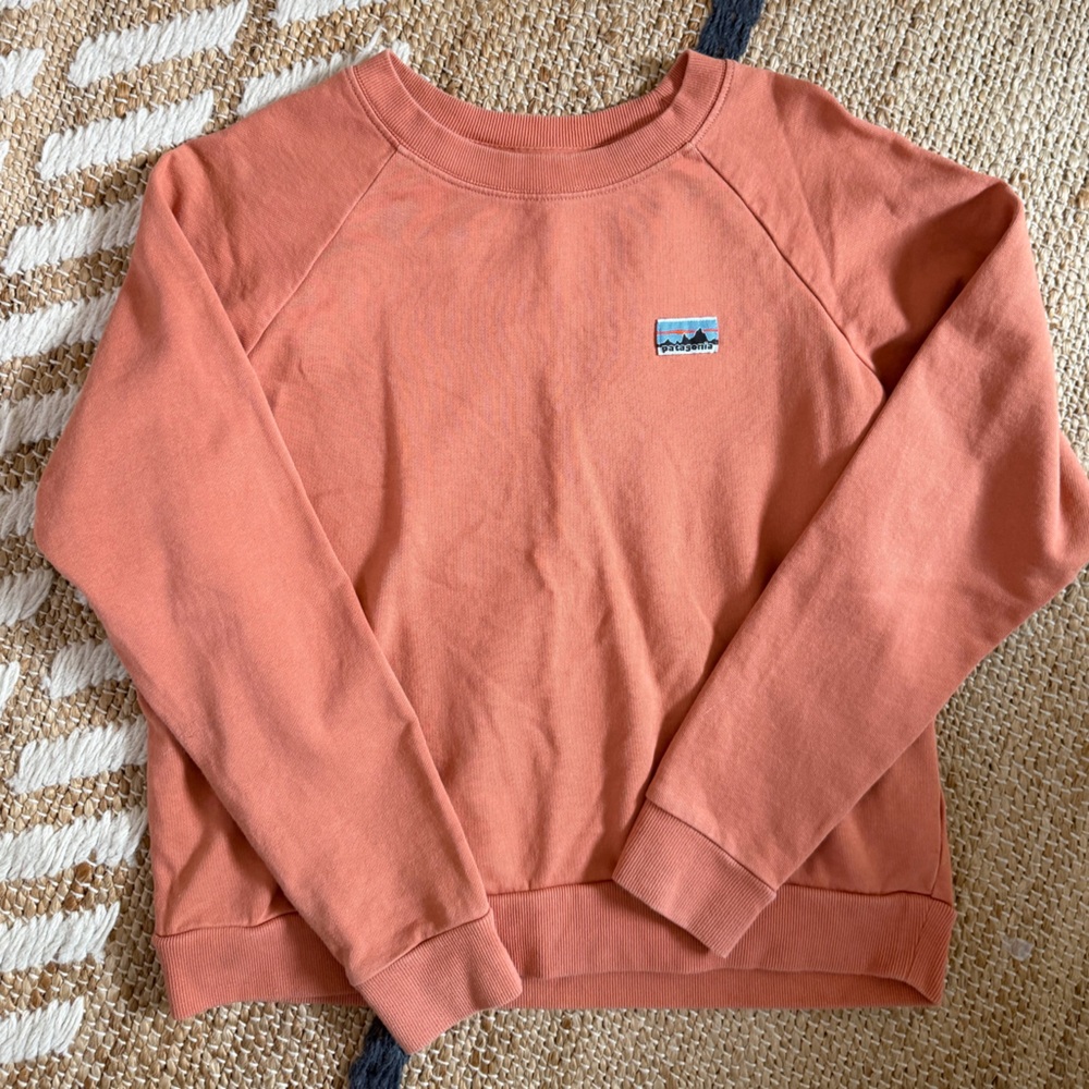 Patagonia sweatshirt